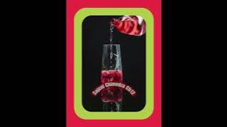 Kuverengwa Kwemabhuku|Sajeni Chimedza Ch12#paivapokareaudiobooks#tsikanemagariro#shonaculture