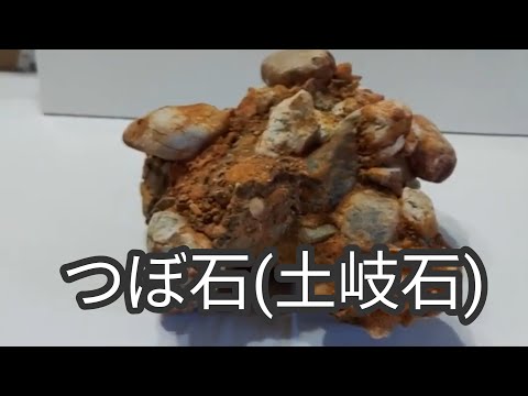 天然記念物 岐阜県土岐市産　壺石5個セット 天然記念物 岐阜県土岐市産壺石5個セット