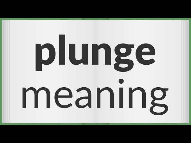 Plunge  meaning of Plunge 