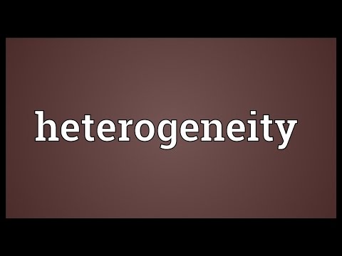 Heterogeneity Meaning