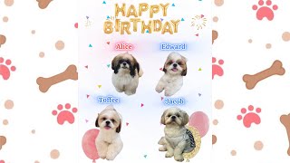 Happy 1st Barkday, Babies!