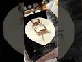 カニ2杯を丸ごとプレス！迫力満点のカニせんべい🦀🔥