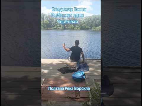 Владимир Песня / Ты #shorts #short