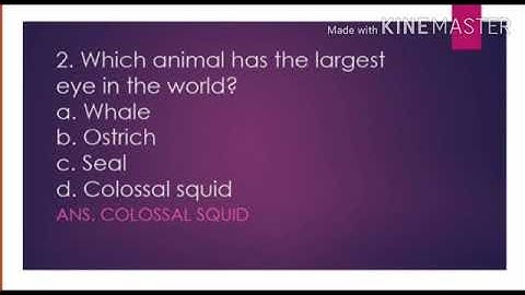 MLZS JHANSI CLASS 4 General Knowledge Wildlife Lecture 2