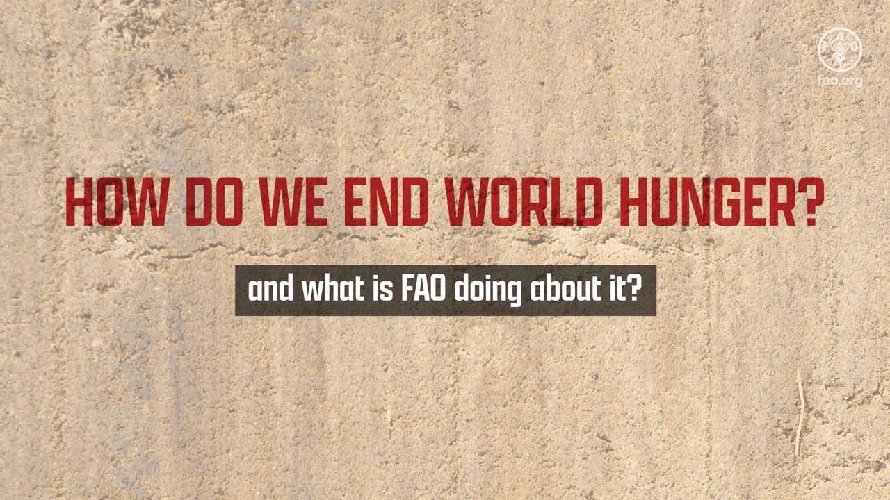 fao-explainer-youtube