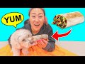 I MADE MY DOG A BURRITO!!