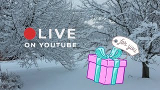 LIVE * FRIDAY NIGHT GAB