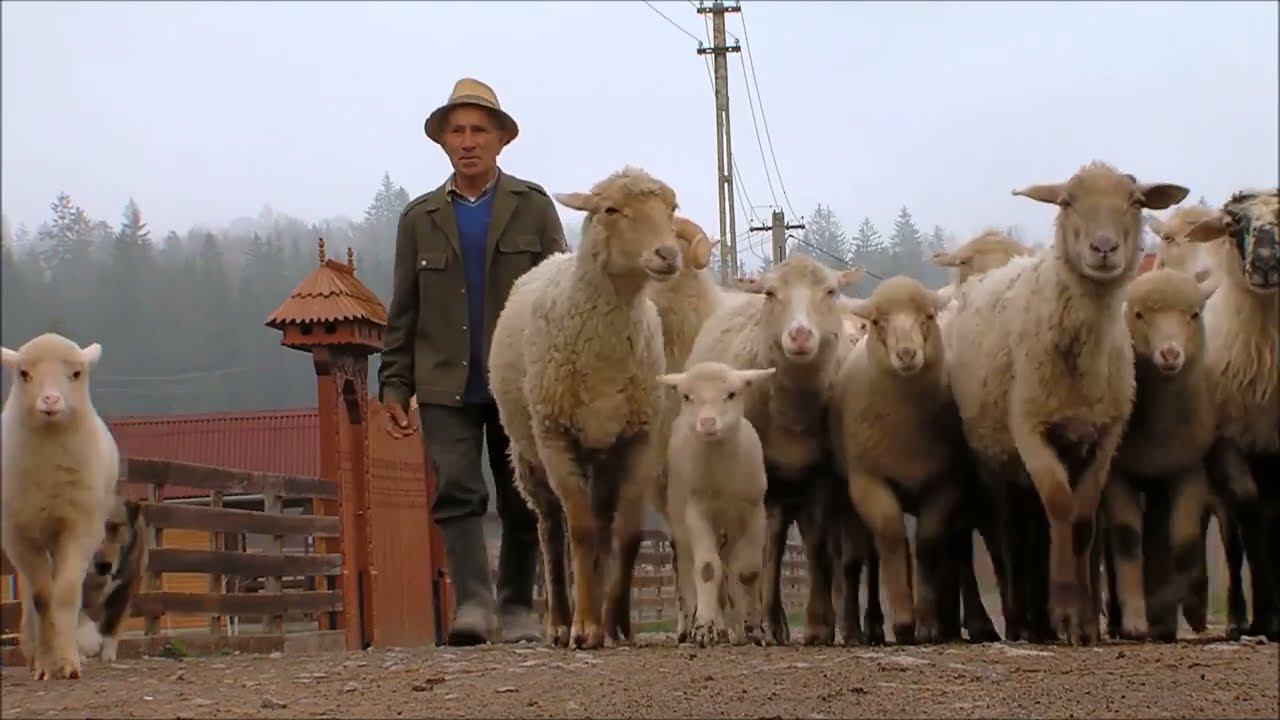 Csík Zenekar – Hazám, hazám .   2022 Június 4. Nemzeti Összetartozás Napja