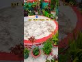 Gardener nhi🥀Shaktimaan hai ham💪🏻💥✨#plantslover #flowers #garden #ytshortsindia