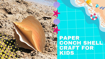 Conch shell craft edited video