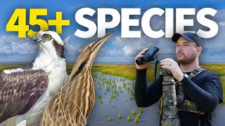 Seeing 45+ Species at the Caribbean of the Rockies