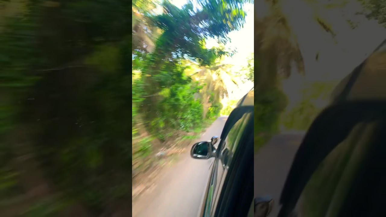 Nature View  🌿😍| Pavithra Janani 