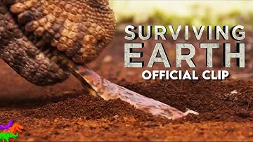 Dimetrodon Digs Up Diplocaulus | Surviving Earth | OFFICIAL DOCUMENTARY CLIP