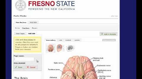 Digication pages_in_sections.mp4