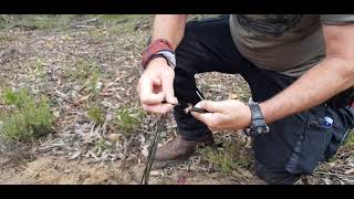 Tortoise Gear Firefly Ferro Rod Review And How To Light A Fire With One.