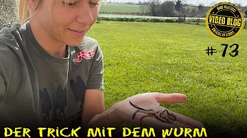 Wie kann man Würmer fangen?