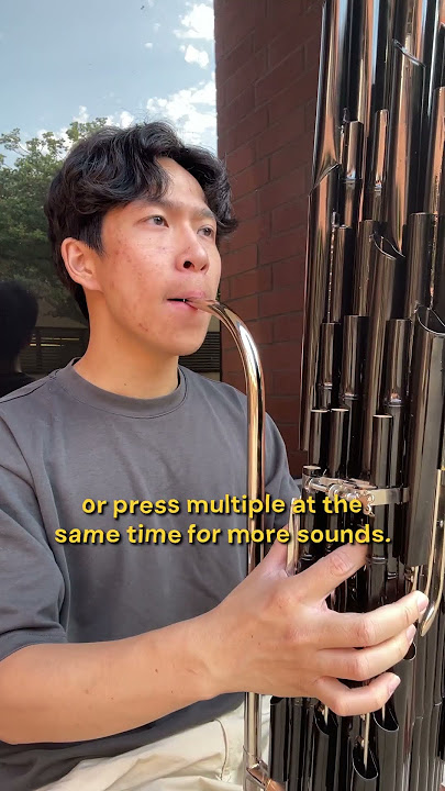 Do you know what music instrument this is?  #dayinthelife #piano #vlog #chinesemusic #sheng