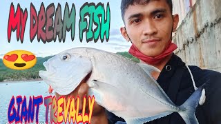 Giant Trevally Nahuli Ko Din Ang Dream Fish Ko Ul Set Up 