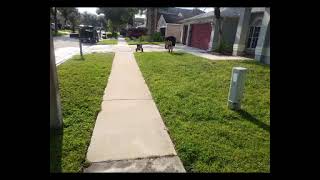 Insane Pressure Washing Before & After Transformations! 🤯 (Proof It Works)