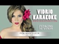 EL MALDITO LICOR- ERIKA VIDRIO KAREOKE