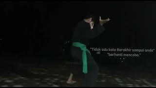 story WA Pagar Nusa || Jurus tunggal Ipsi🤜🤛 #pagarnusa #ipsi