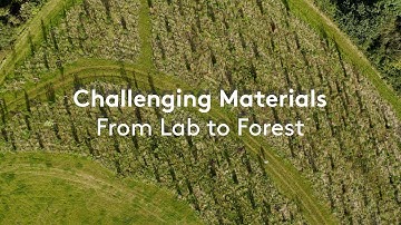 Challenging Materials: From Lab to Forest