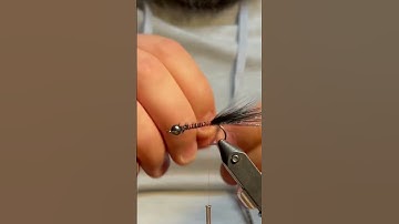 Crystal Bugger - Fly Tying Short #flytying #flyfishing