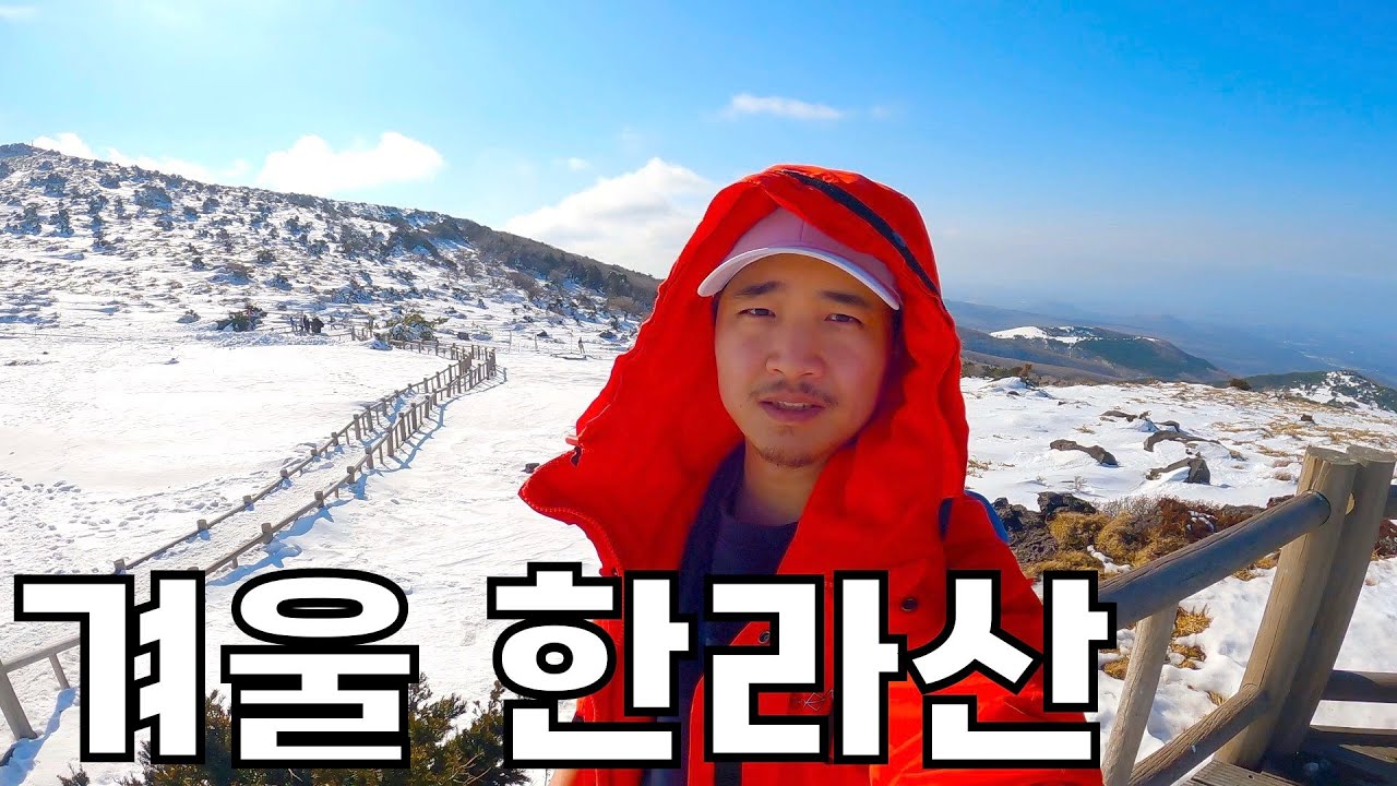 겨울 한라산을 가장 쉬운 코스로 즐기기 | 어리목 윗세오름 [제주도3]