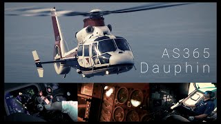 航空機・ヘリコプター Dodo mqdefault.jpg