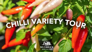 Top Chilli Variety Tour - Mild to Wild 🌶️