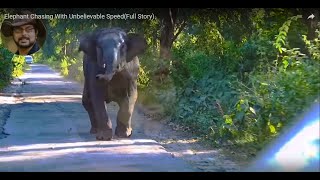 #Elephant# #Chasing# With Unbelievable #Speed#(Full Story).