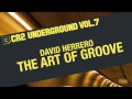 David Herrero - The Art Of Groove