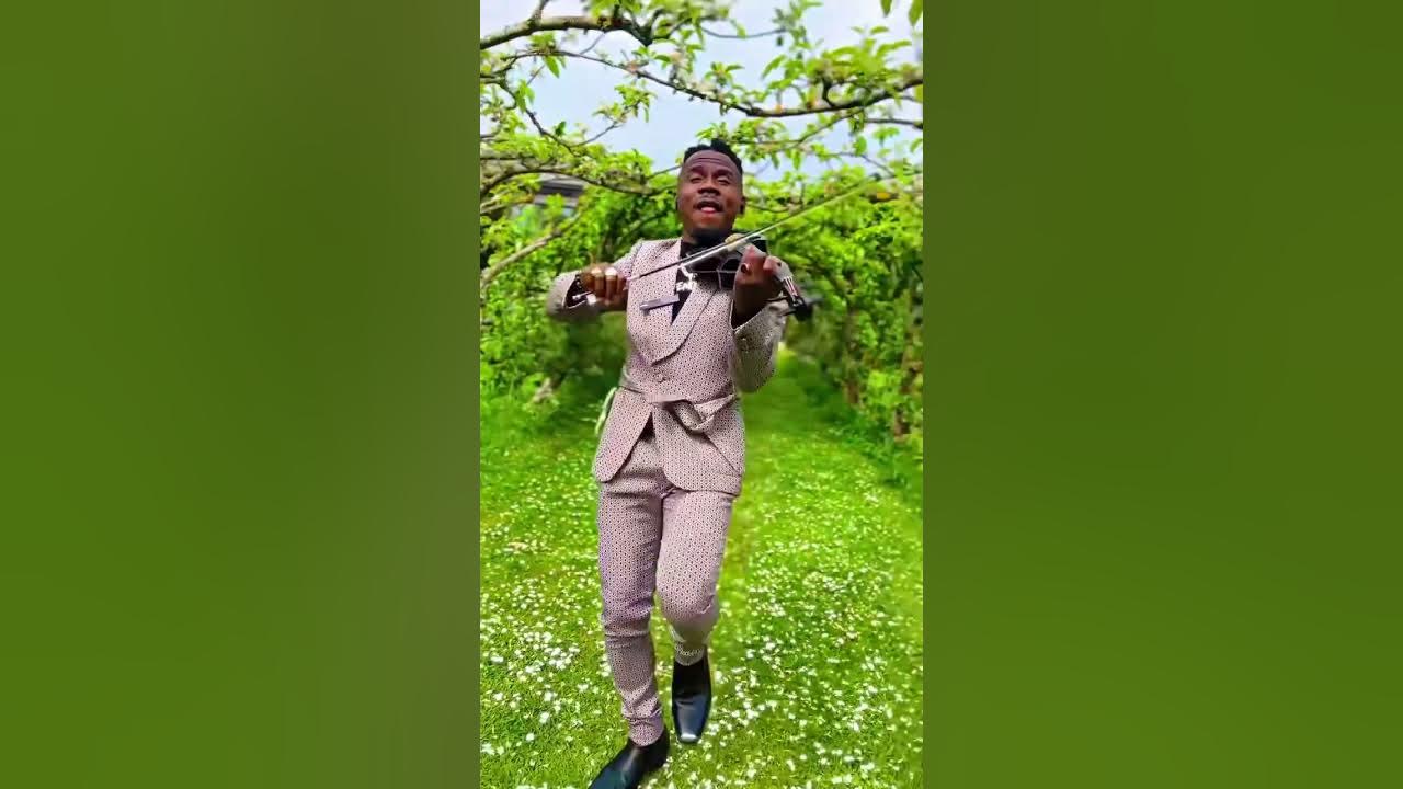 Shape of you - Ed Sheeran. Violin cover by Demola Shape of you - Ed Sheeran. Violin cover by Demola