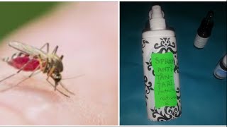 7 remedii naturale pentru a alunga insectele nedorite