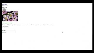 Non Semantic HTML and a Screen Reader