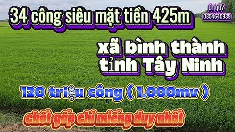 Ms179/ 1 miếng đất duy nhất siêu mặt tiền dài 425 mét giá rẽ không thể bỏ qua  120 triệu công