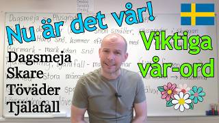 Våren Är Här Kan Ni Dessa Vår-Ord? Sfi