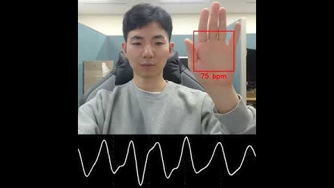 Remote PPG (Palm) - SMU PR Lab