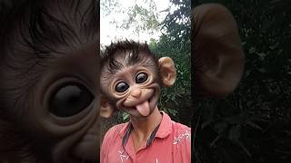 tiger 🐅 monkey 🐵 Boga #animals #funny #comedymove #comedy