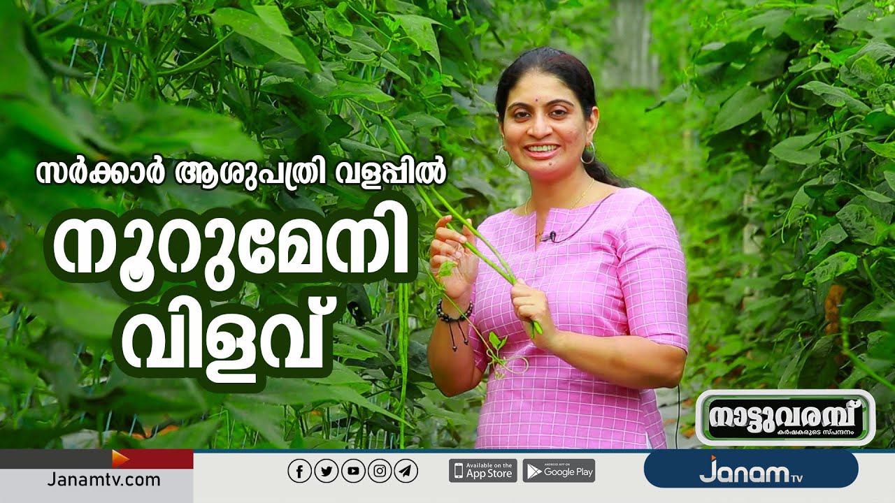 IRANIMUTTOM CHC | ORGANIC FARMING |  Dep. AGRICULTURE | THIRUVANANTHAPURAM | NATTUVARAMBU | JANAM TV