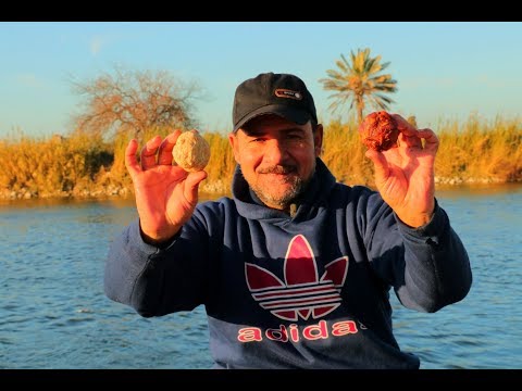 اقوى عجينة لصيد الكارب بنى مبروكة سلفر