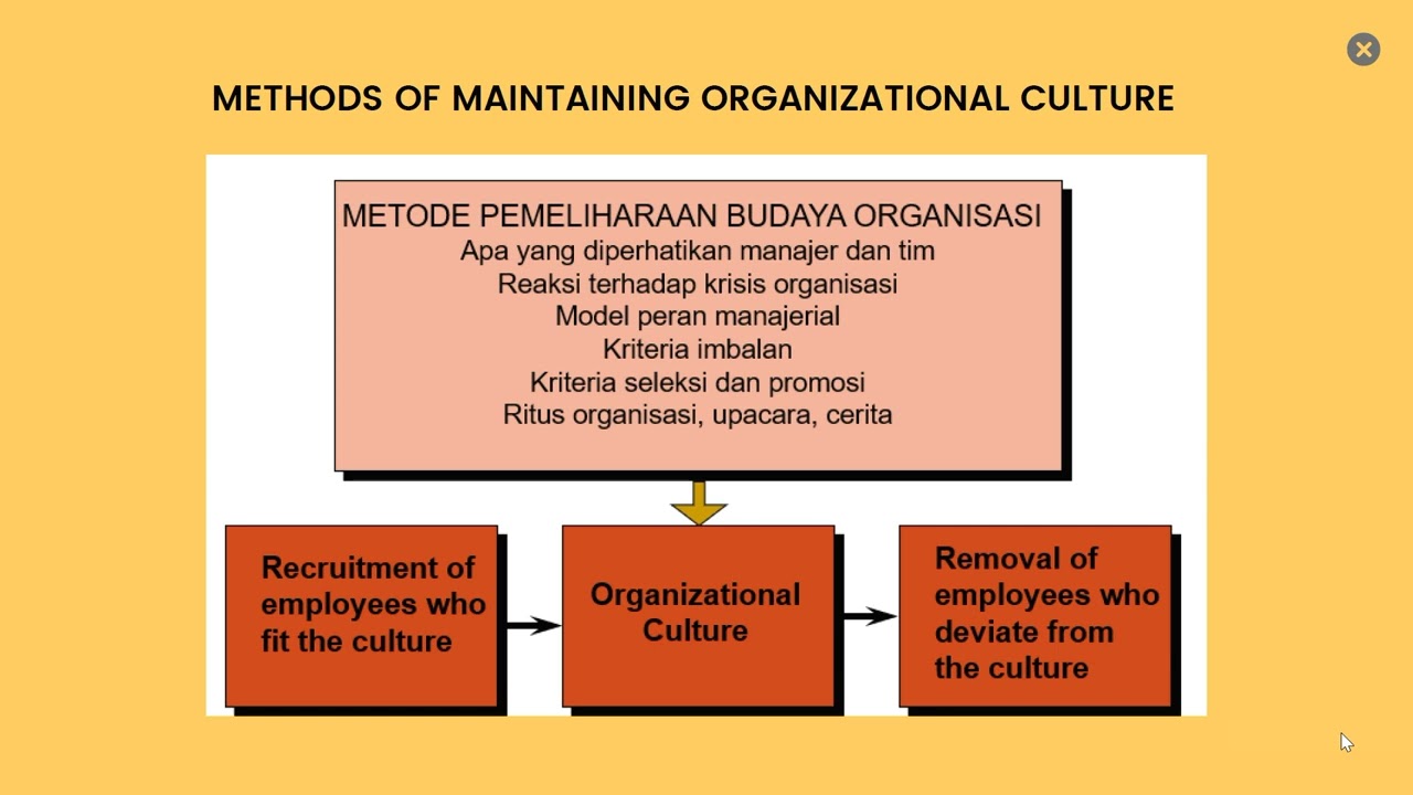 Karakteristik Budaya Organisasi