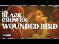The Black Crowes - Wounded Bird - Live at Gathering Of The Vibes 2008