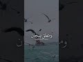 طير انه اهوه السمه ومتعلق بسجان حالات وتساب حزين خضير هادي