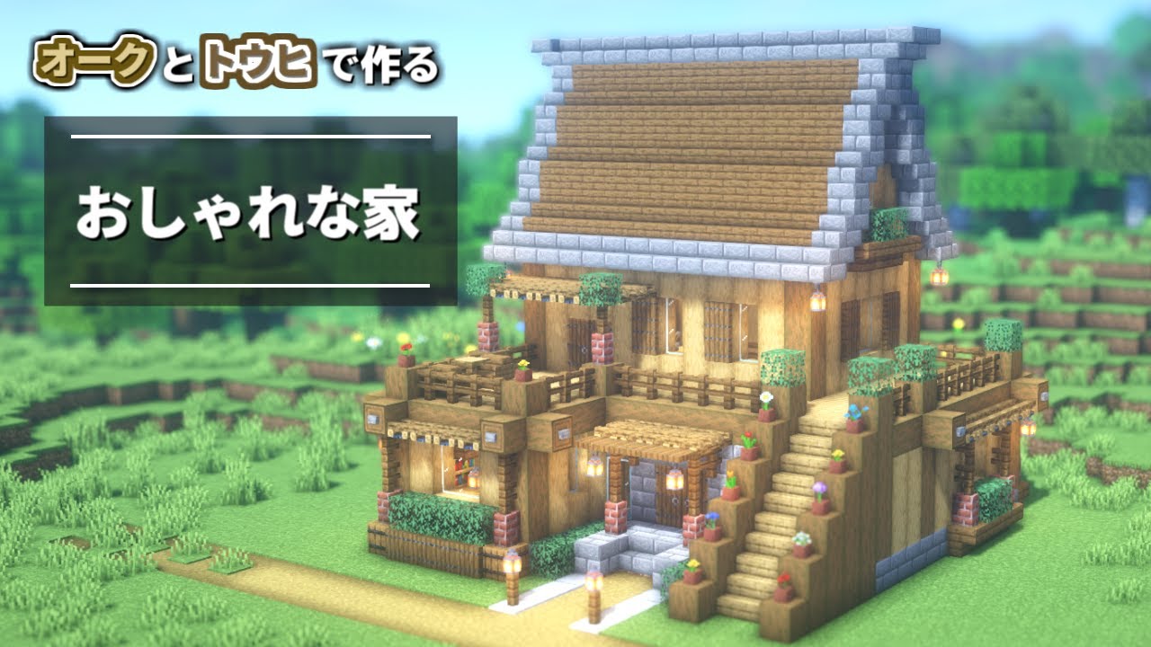 とう ひ ふ どう さん – オヘソジャーナル – QJWRP
