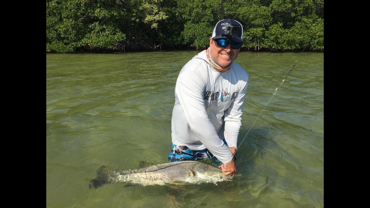 3 Mosche | Vola dello streamer per acqua salata del tarpon