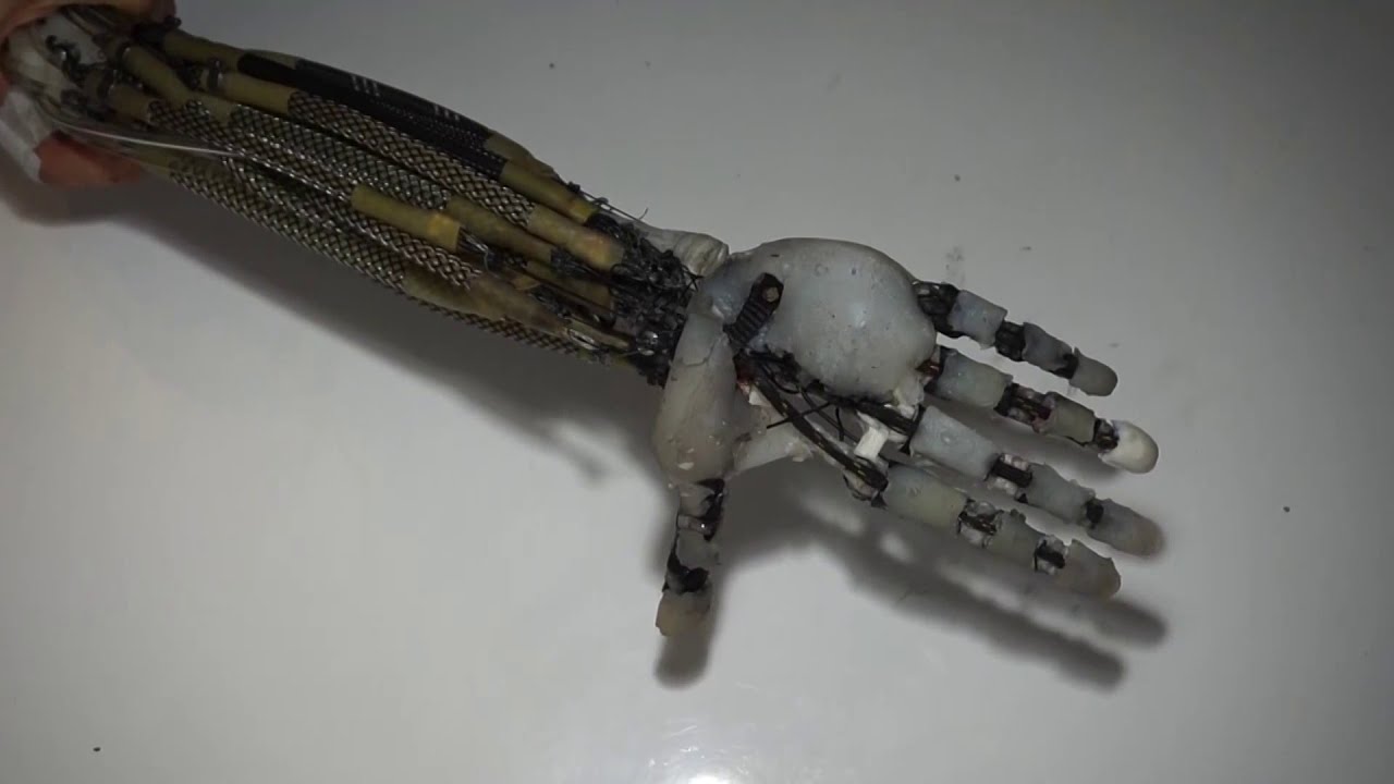 Artificial Muscles Robotic Arm Real Copy of Human Arm