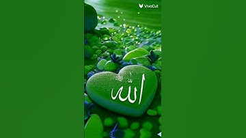 القرآن الكريم بصوت خاشع اكتب يا رب العالمين 🤲🤲🤲🌹