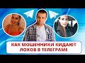 Как мошенники кидают лохов в телеграме (ИНТЕРНЕТ-ПОМОЙКА #31)