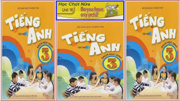 Tiếng Anh lớp 3 Unit 16 Do you have any pets?